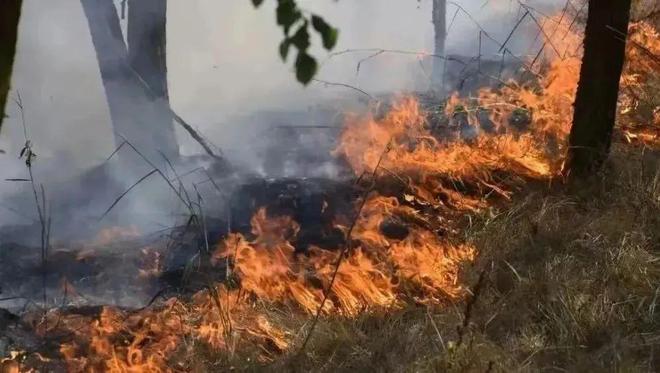 春季防火别大意 这份农村防火小常识请牢记