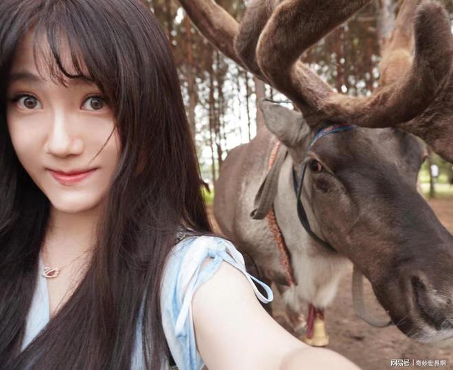 2025漠河4日游攻略：带2大1小怎么玩？行程+住宿解析！