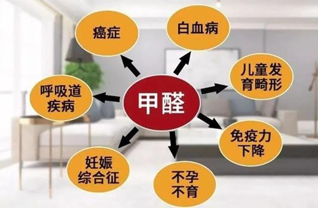 新房多久可以入住？2025去甲醛产品排行实测(图2)