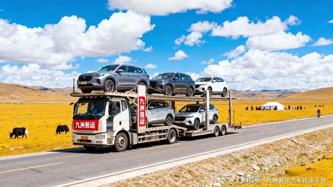 轿车托运物流公司排名(图2)